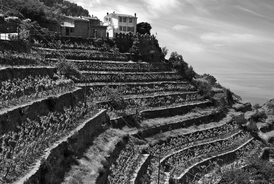 Cinque Terre #83 BW